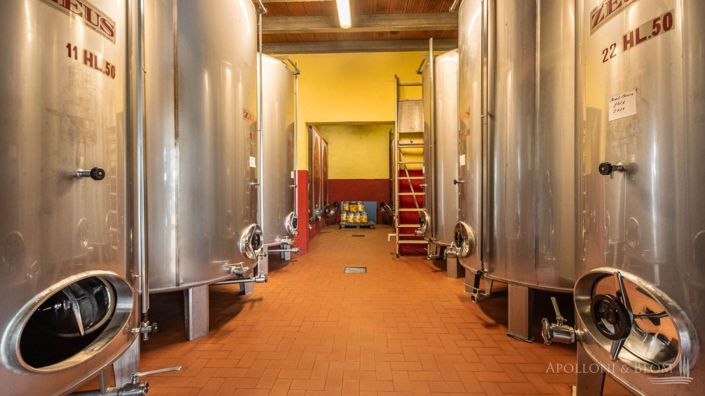 Image No.16-5 Bed Vineyard for sale