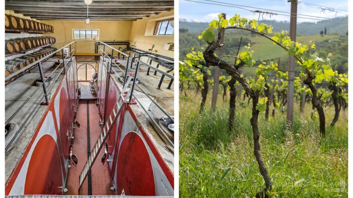 Image No.2-5 Bed Vineyard for sale