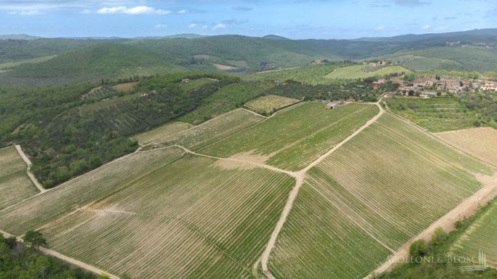 Image No.20-5 Bed Vineyard for sale