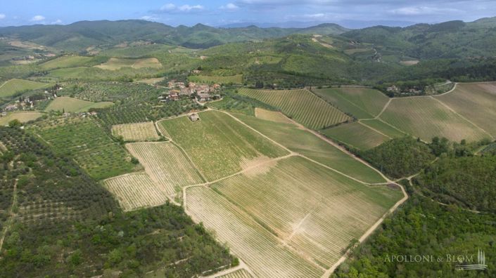 Image No.3-5 Bed Vineyard for sale