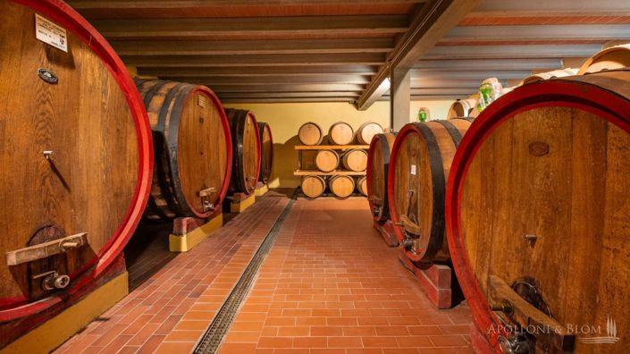 Image No.8-5 Bed Vineyard for sale