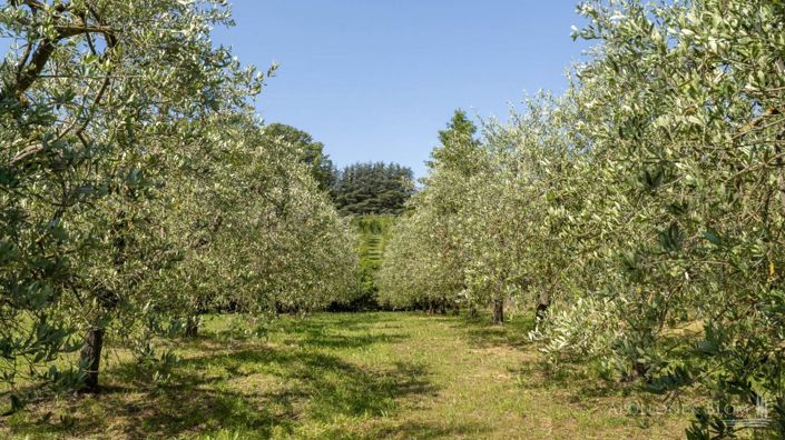 Image No.29-3 Bed Apartment for sale