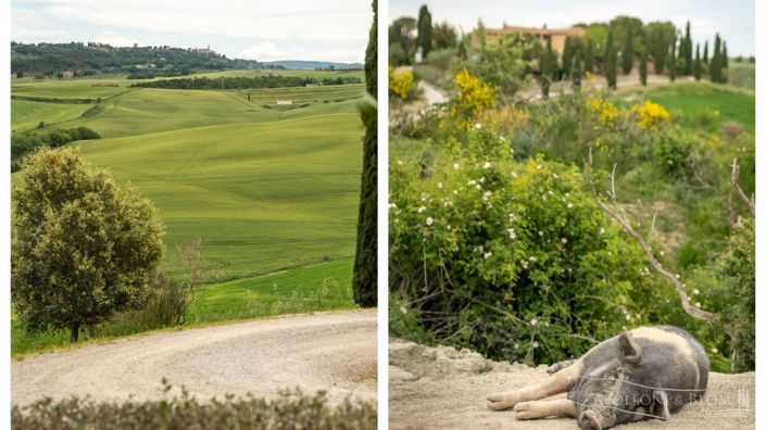 Image No.15-11 Bed Apartment for sale