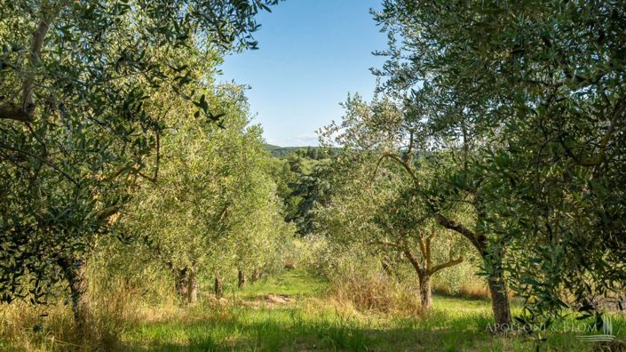 Image No.30-6 Bed Apartment for sale