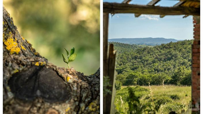 Image No.5-6 Bed Apartment for sale