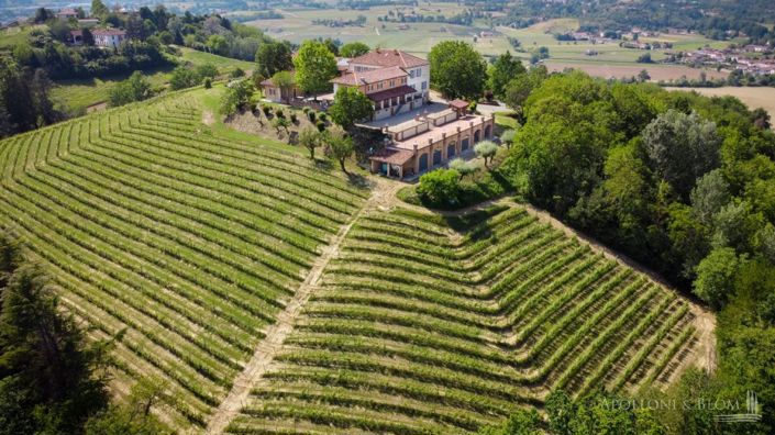 Image No.2-10 Bed Vineyard for sale