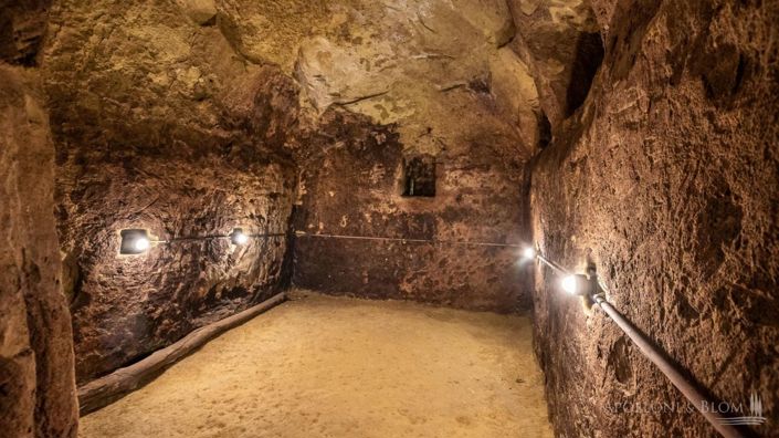 Image No.28-10 Bed Vineyard for sale