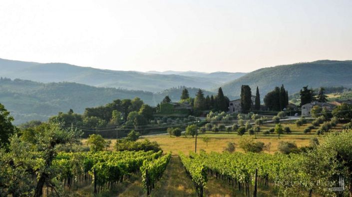 Image No.27-Appartement de 8 chambres à vendre à Castellina in Chianti