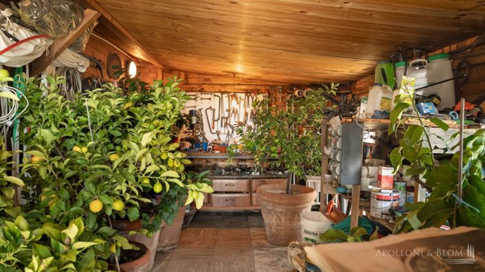 Image No.30-Villa de 3 chambres à vendre à Sinalunga