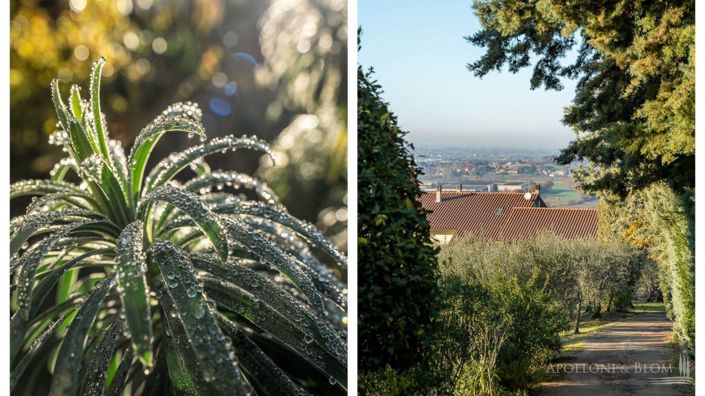 Image No.24-7 Bed Apartment for sale