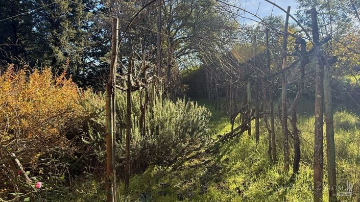 Image No.27-10 Bed Apartment for sale