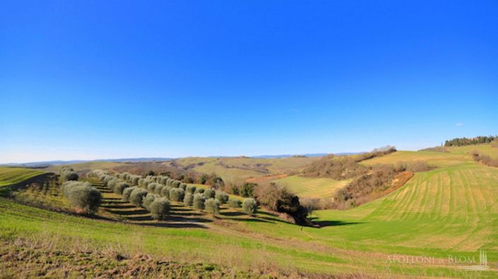 Image No.11-4 Bed Plot for sale