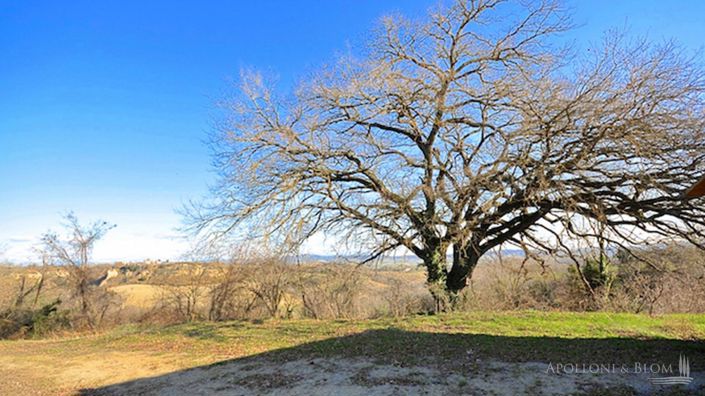 Image No.12-4 Bed Plot for sale