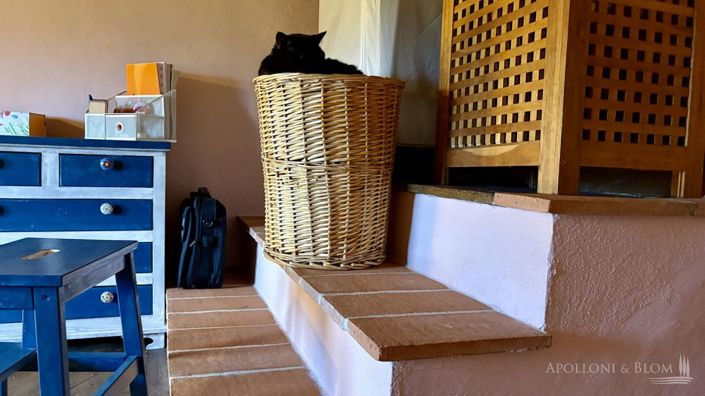 Image No.28-3 Bed Apartment for sale