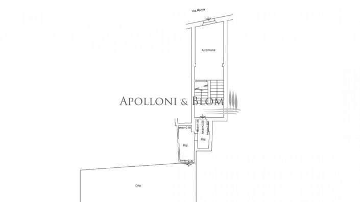 Image No.1-floorplan-1