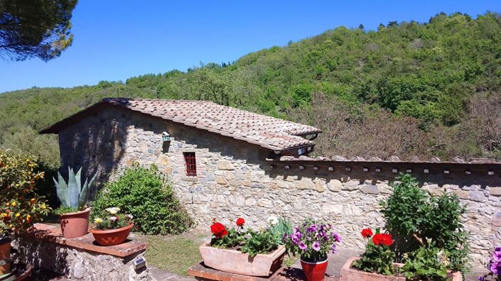 Image No.25-Maison de campagne de 2 chambres à vendre à Castellina in Chianti