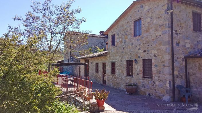 Image No.28-Maison de campagne de 2 chambres à vendre à Castellina in Chianti