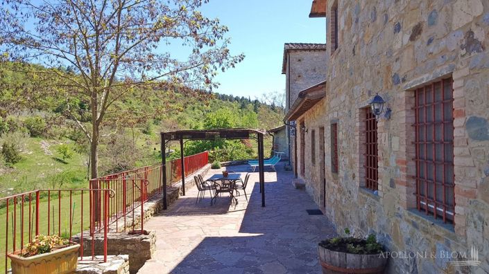 Image No.4-Maison de campagne de 2 chambres à vendre à Castellina in Chianti