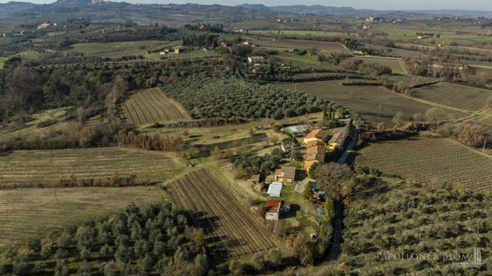 Image No.10-10 Bed Vineyard for sale