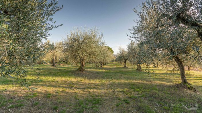 Image No.22-3 Bed Apartment for sale