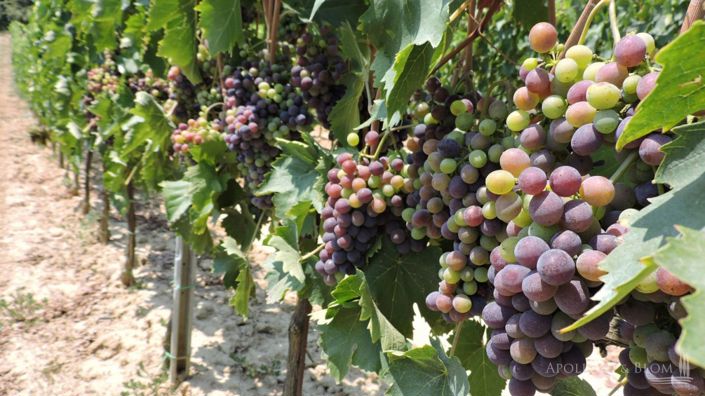 Image No.24-3 Bed Apartment for sale