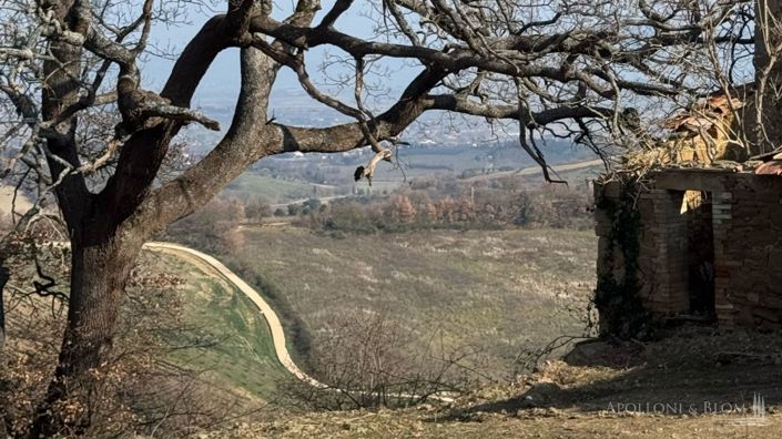 Image No.16-Appartement de 2 chambres à vendre à Torrita di Siena