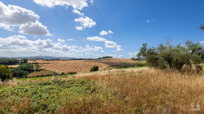 Image No.4-1 Bed Land for sale