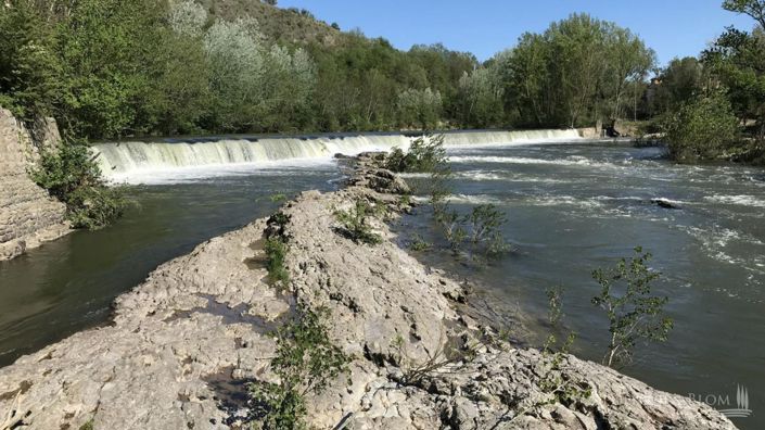 Image No.16-Terrain à vendre à Figline Valdarno