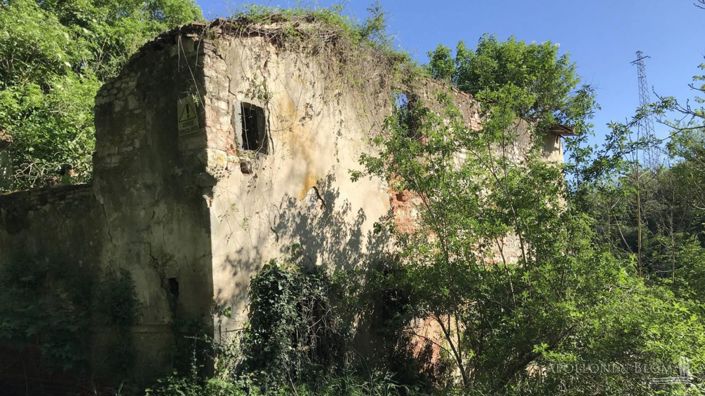 Image No.27-Terrain à vendre à Figline Valdarno