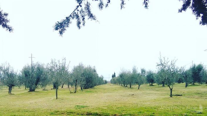 Image No.17-5 Bed Apartment for sale