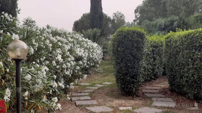 Image No.19-5 Bed Apartment for sale