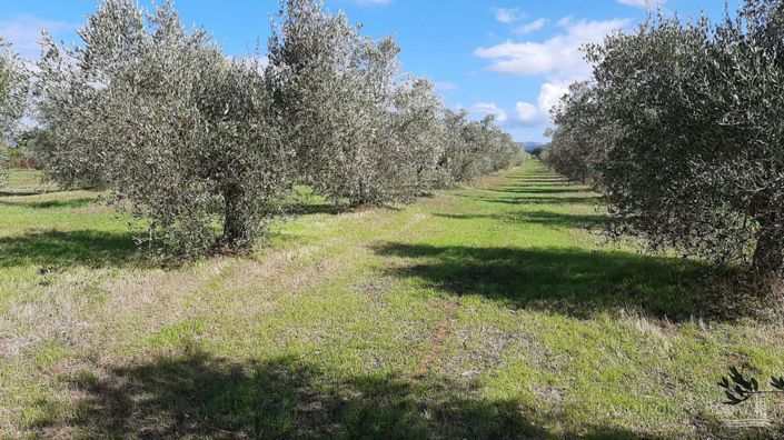 Image No.20-5 Bed Apartment for sale