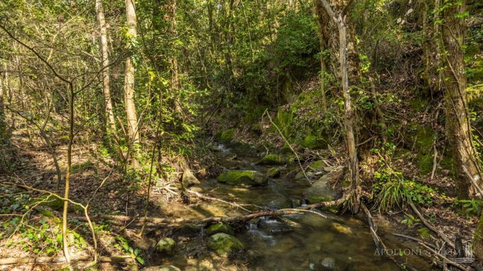 Image No.5-3 Bed Apartment for sale