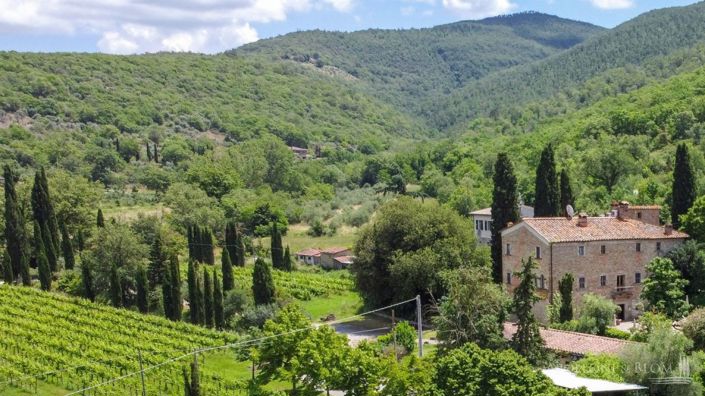 Image No.25-14 Bed Apartment for sale