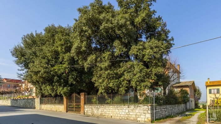 Image No.20-Maison de campagne de 5 chambres à vendre à Montepulciano