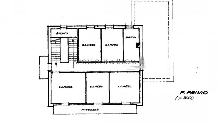 Image No.2-floorplan-2