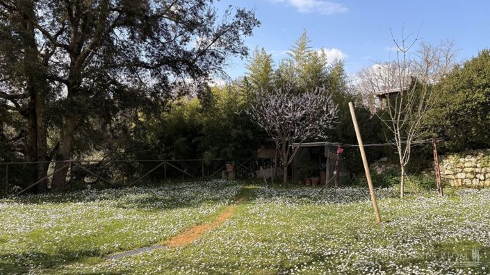 Image No.27-Appartement de 3 chambres à vendre à San Gimignano
