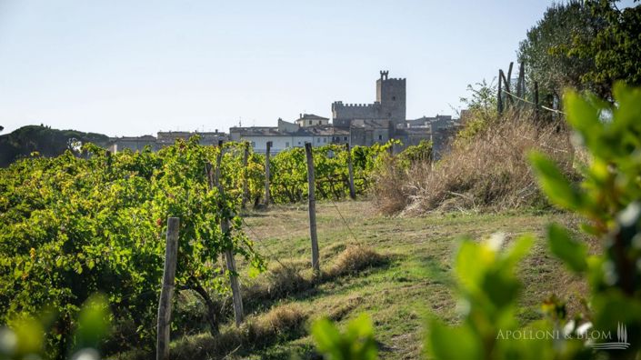 Image No.4-21 Bed Apartment for sale