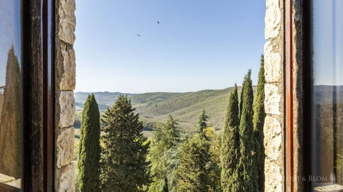 Image No.25-Châteaux de 7 chambres à vendre à Gaiole in Chianti