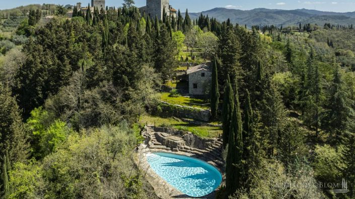 Image No.3-Châteaux de 7 chambres à vendre à Gaiole in Chianti