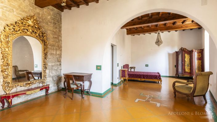 Image No.30-Châteaux de 7 chambres à vendre à Gaiole in Chianti