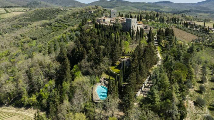 Image No.6-Châteaux de 7 chambres à vendre à Gaiole in Chianti