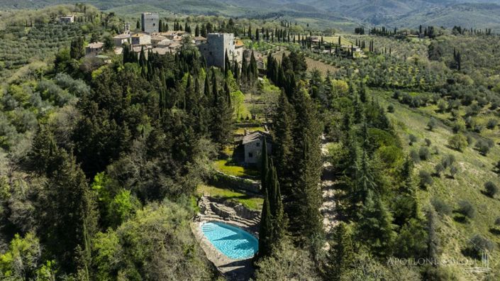 Image No.7-Châteaux de 7 chambres à vendre à Gaiole in Chianti