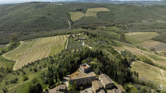 Image No.8-Châteaux de 7 chambres à vendre à Gaiole in Chianti