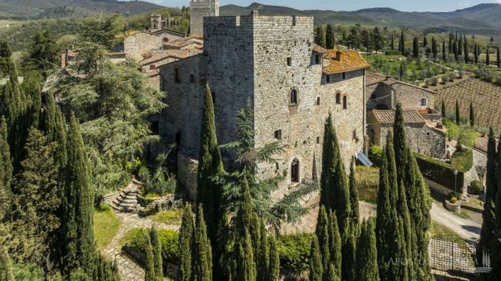 Image No.9-Châteaux de 7 chambres à vendre à Gaiole in Chianti