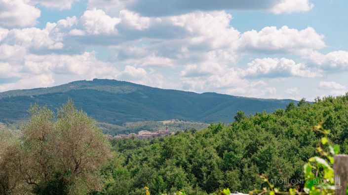 Image No.30-6 Bed Apartment for sale