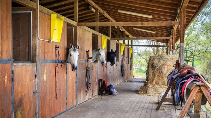 Image No.4-6 Bed Apartment for sale