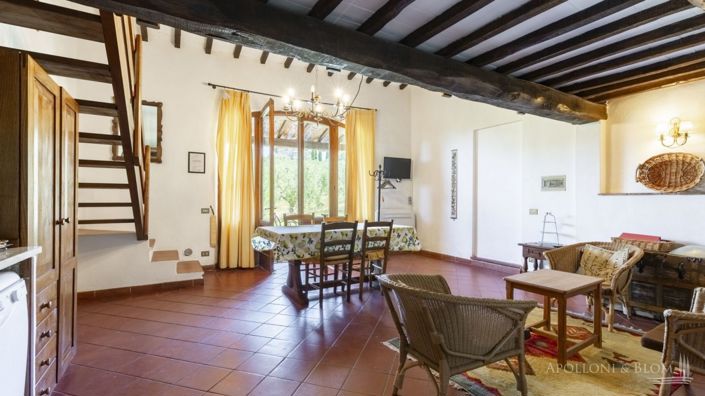 Image No.22-Villa de 7 chambres à vendre à Castellina in Chianti