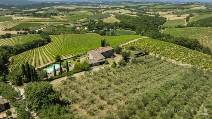 Image No.28-Villa de 7 chambres à vendre à Castellina in Chianti