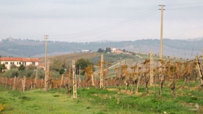 g202607061504546236